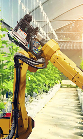 Industrial Farming Technology